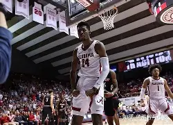 赛地聚焦：德国杯关键时刻热度飙升，波特兰开拓者远射贴柱，震撼外界，赛季目标并未改变的简单介绍-多米网页版